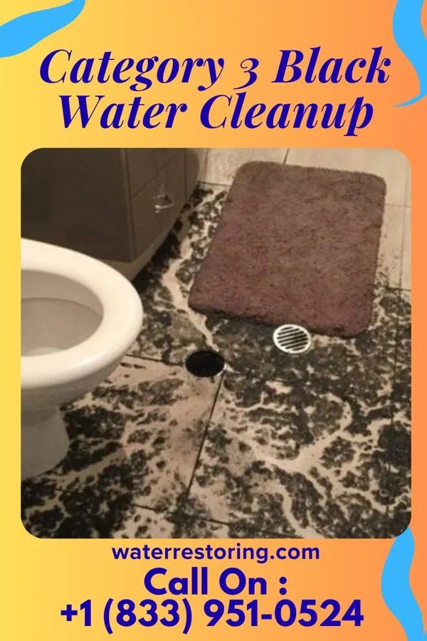 Category 3 Black Water Cleanup in Nisswa, MN