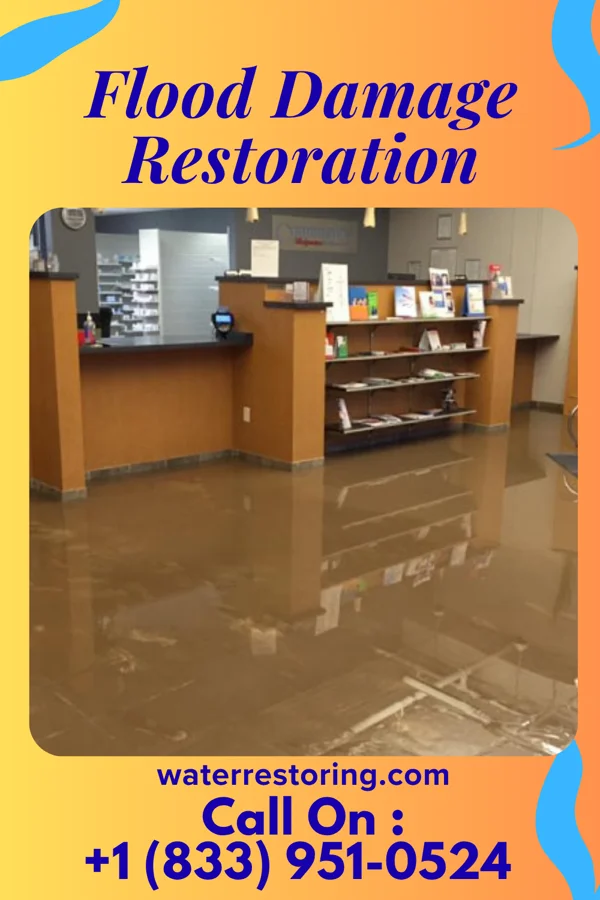 Flood Damage Restoration in Nisswa, MN