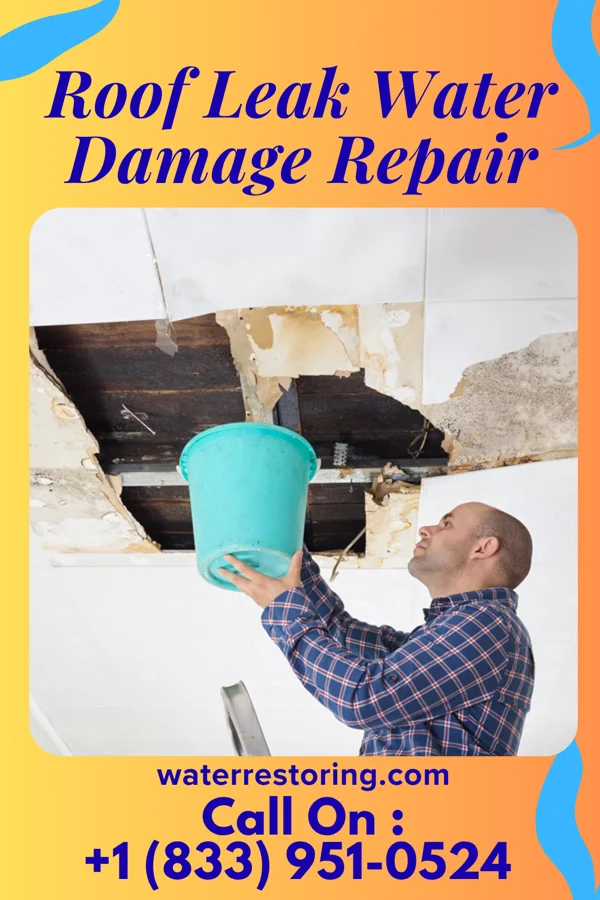 Roof Leak Water Damage Repair in Nisswa, MN