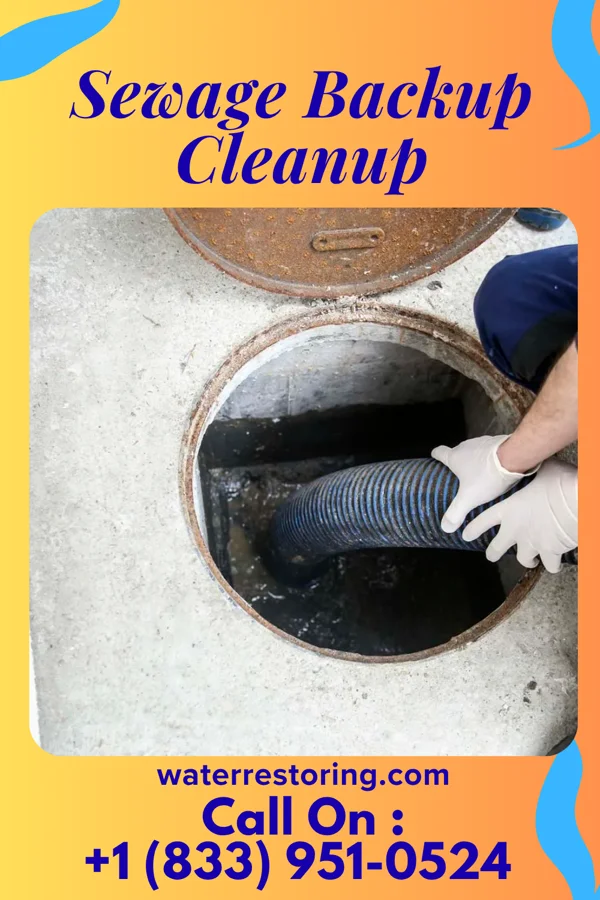 Sewage Backup Cleanup in Nisswa, MN