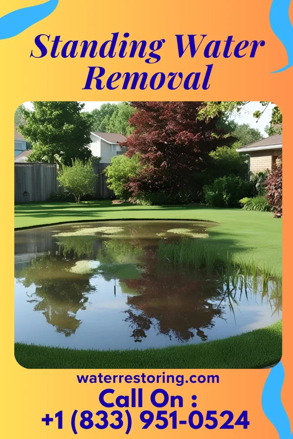 Standing Water Removal in Nisswa, MN